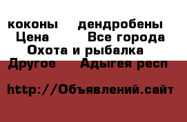 коконы    дендробены › Цена ­ 25 - Все города Охота и рыбалка » Другое   . Адыгея респ.